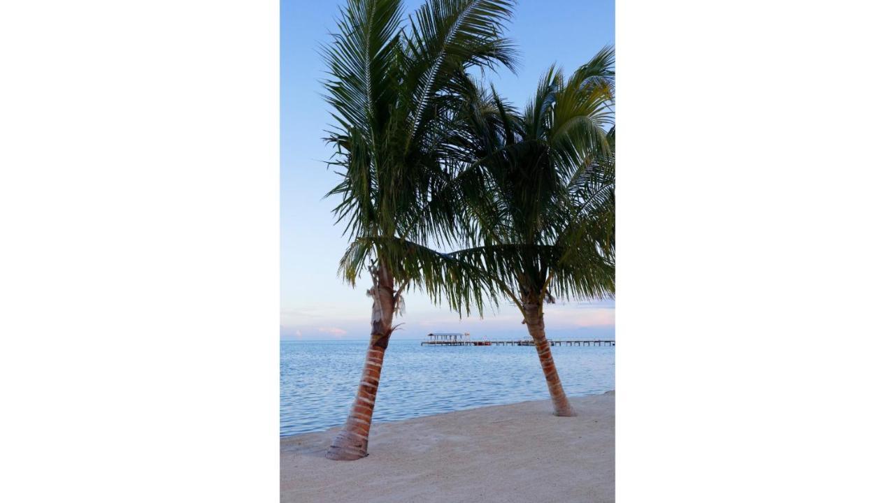 Cheeca Lodge & Spa Исламорада Екстериор снимка Palm trees on the beach at the Grand Hotel